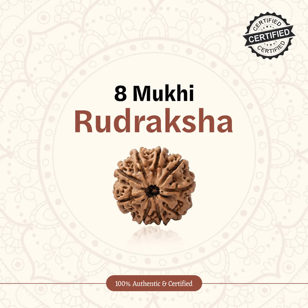Nepal Origin 8 Mukhi Rudraksha
