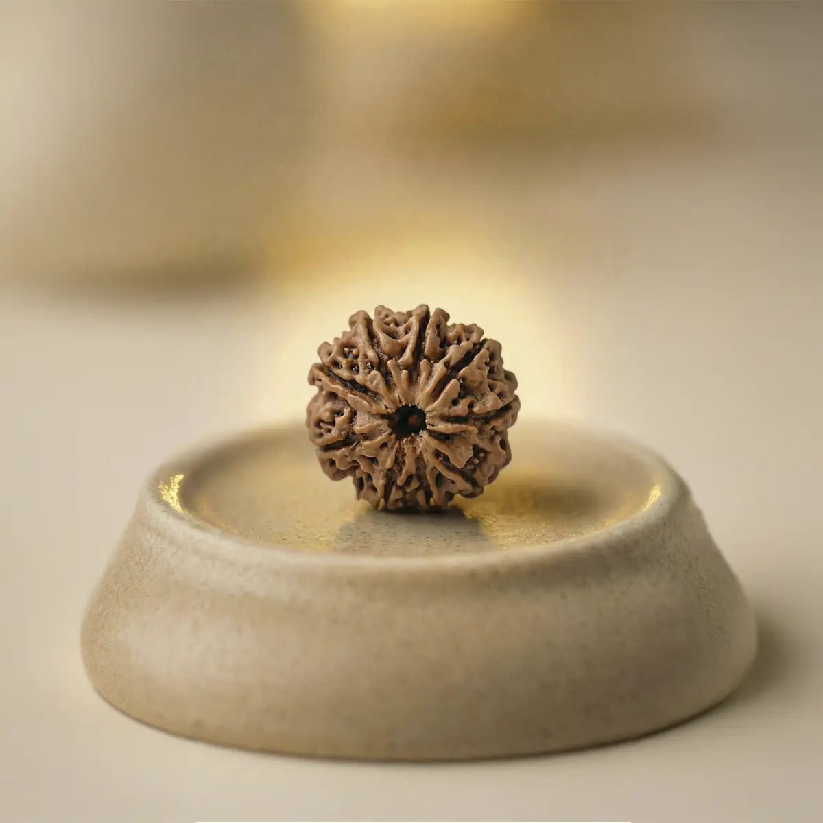 Nepal Origin 9 Mukhi Rudraksha