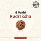 Nepal Origin 9 Mukhi Rudraksha