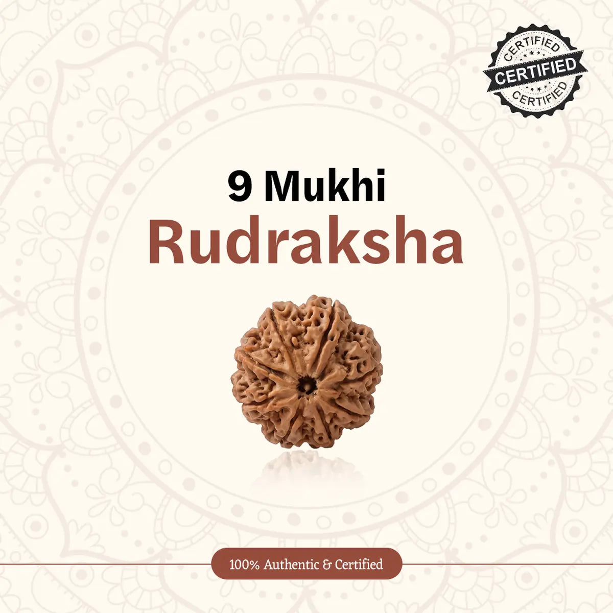 Nepal Origin 9 Mukhi Rudraksha