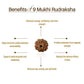 Nepal Origin 9 Mukhi Rudraksha