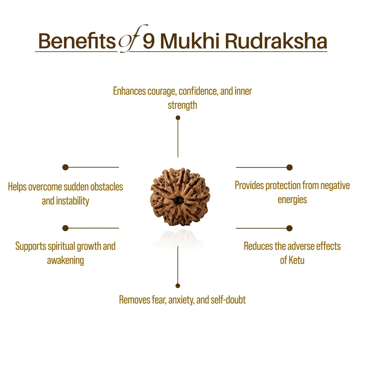 Nepal Origin 9 Mukhi Rudraksha