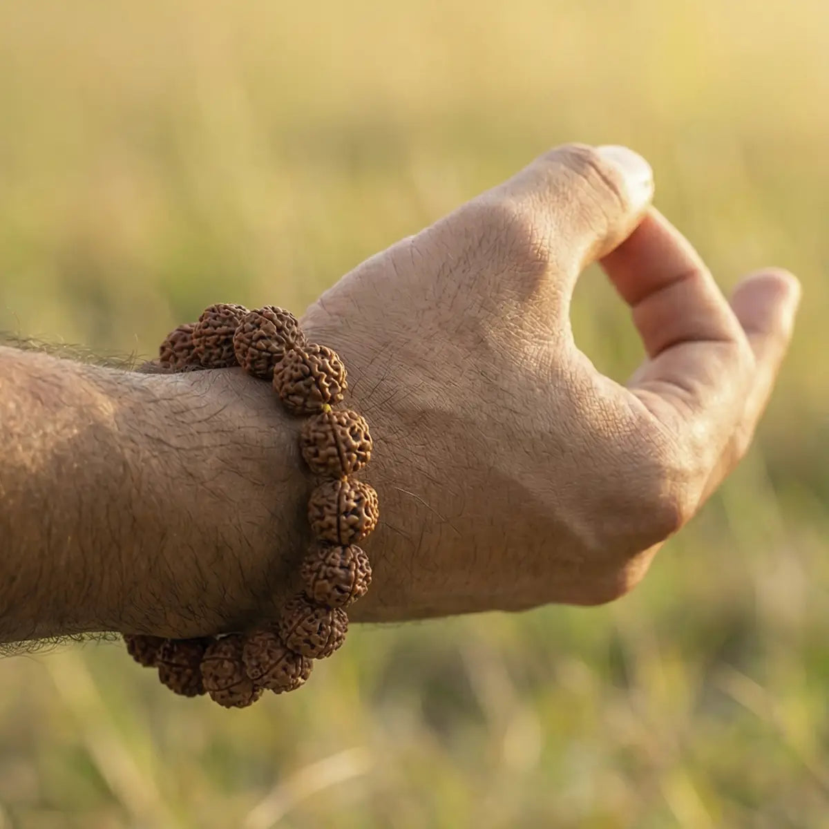 7 Mukhi Rudraksha Bracelet