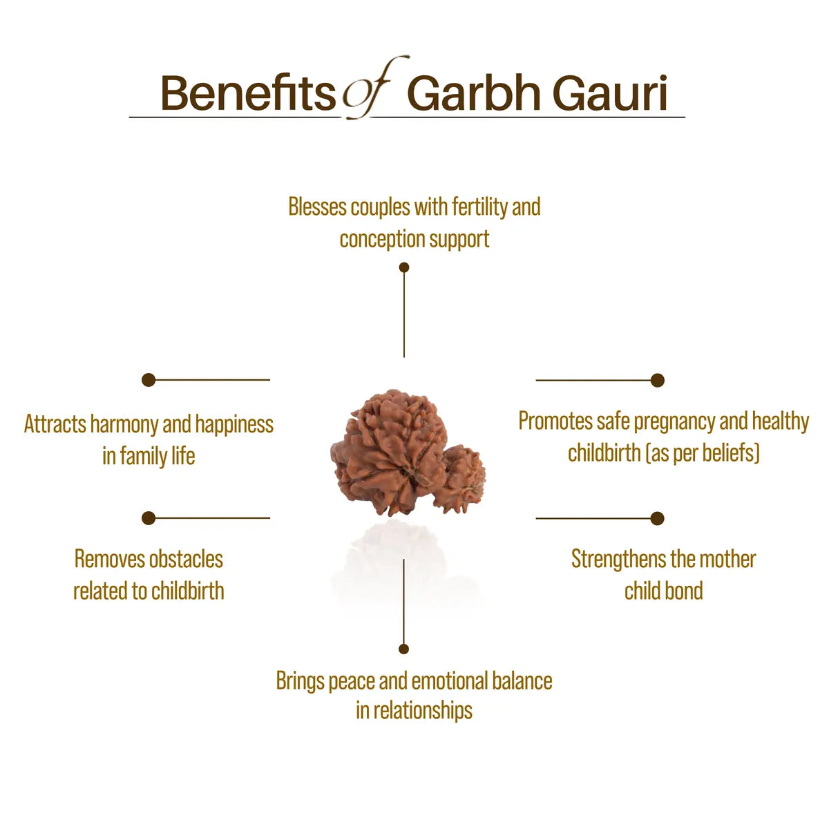 Nepal Origin Garbh Gauri Rudraksha
