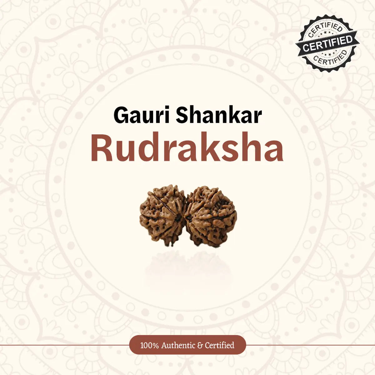 Nepal Origin Gauri Shankar Rudraksha