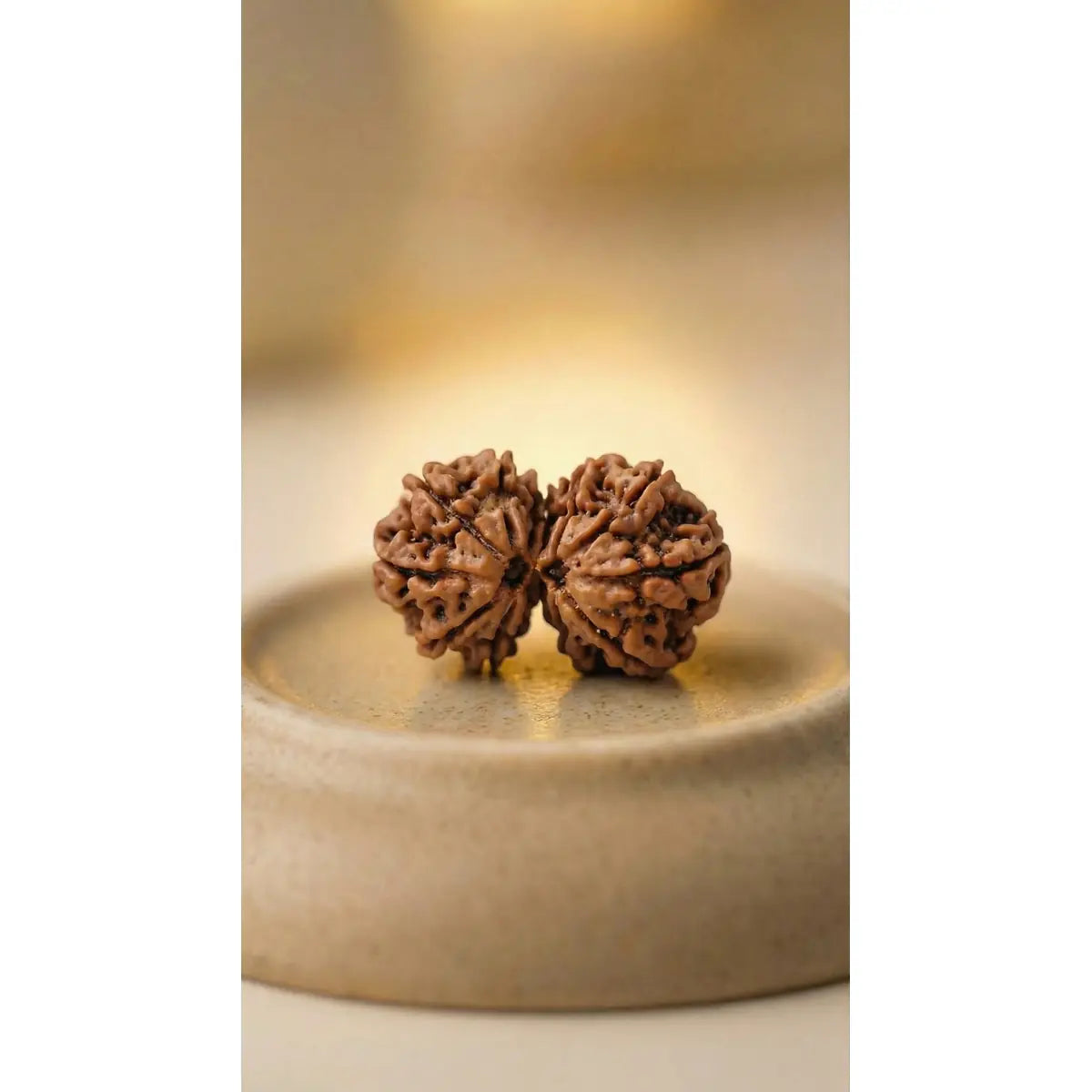 Nepal Origin Gauri Shankar Rudraksha