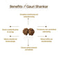 Nepal Origin Gauri Shankar Rudraksha